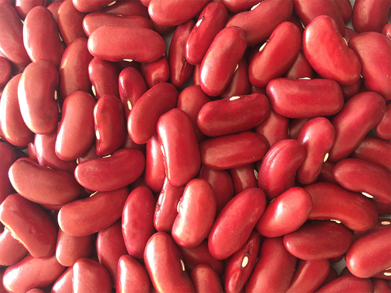 红芸豆